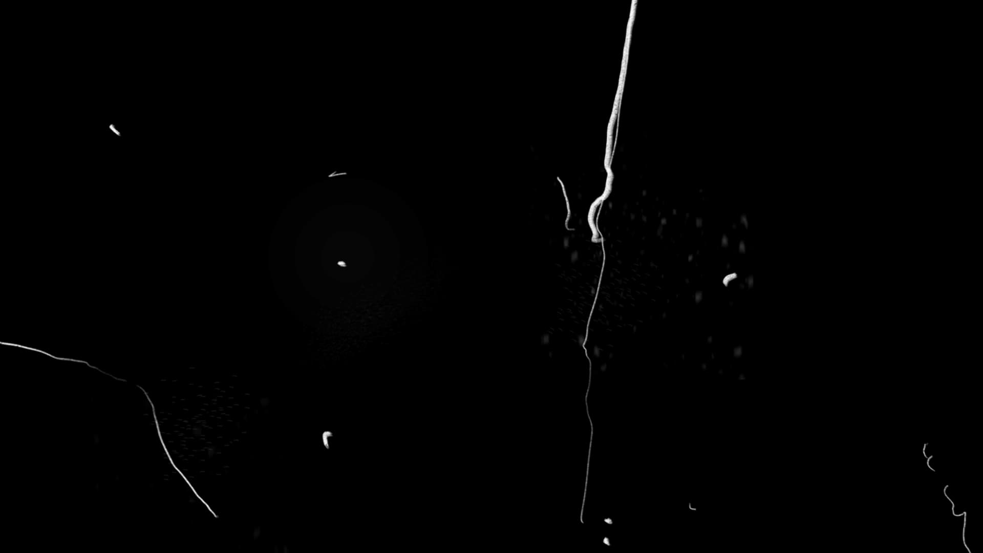 black background