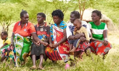 Training & Educational Videos